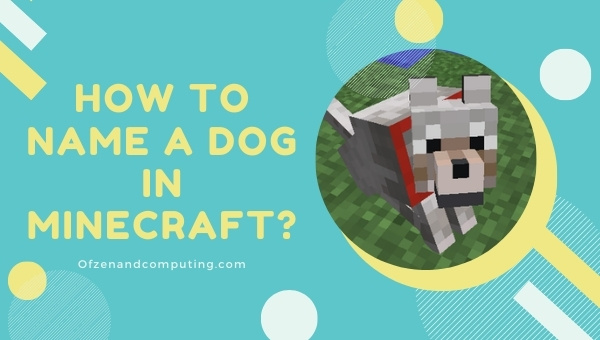 How to name your dog in minecraft