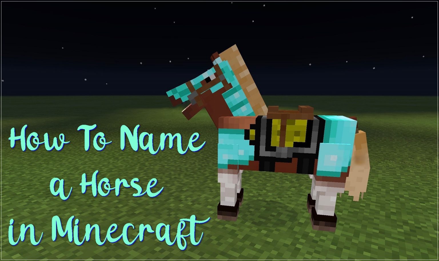 13 Intelligent How To Name A Horse On Minecraft Latest