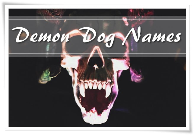 Demon Dog Names (2022)