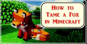 How to Tame a Fox in Minecraft?