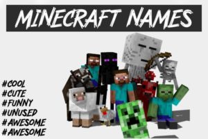 Cool Minecraft Names Ideas (2022) Good, Best, Funny