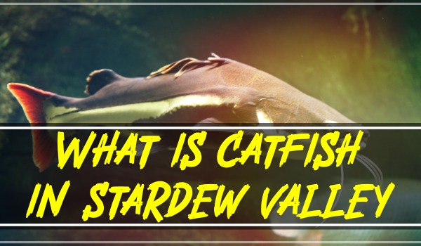 What is Catfish in Stardew Valley?