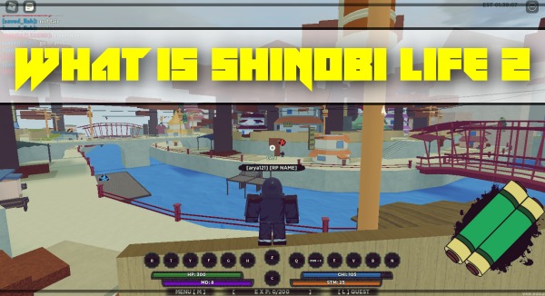 What is Shindo Life (Shinobi Life 2)?