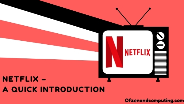 Netflix - A Quick Introduction 