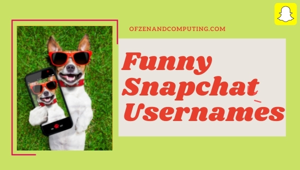 Funny Snapchat Usernames Ideas (2022)