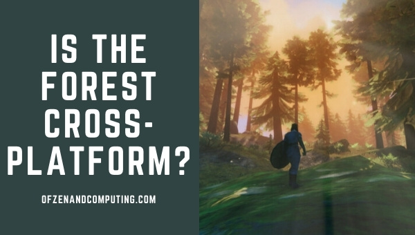 Is The Forest Cross-Platform in 2023?