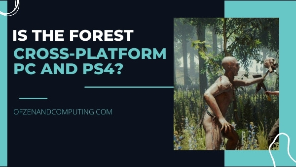 Is The Forest Cross-Platform PC and PS4/PS5?