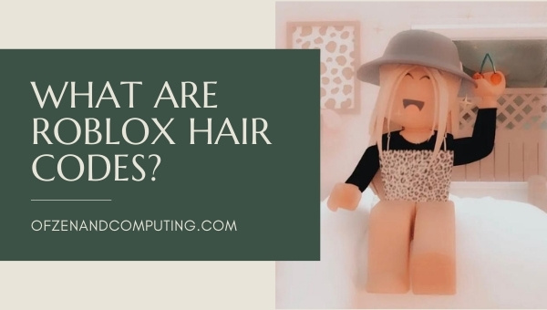 What are Roblox Hair Codes?