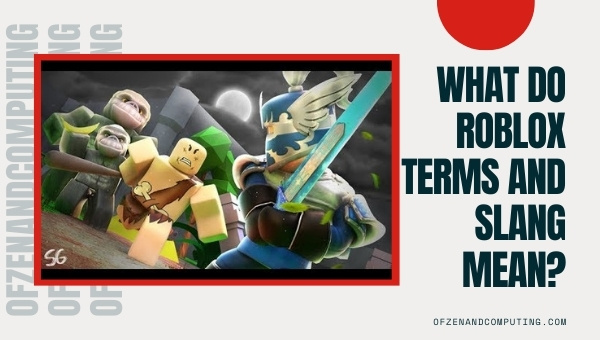 What do Roblox Terms and Slang mean