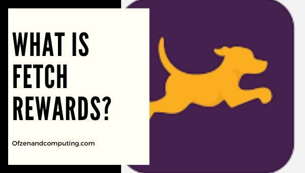 What is Fetch Rewards?