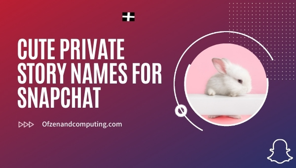 Cute Private Story Names for Snapchat (2022)
