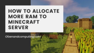 How to Allocate More RAM to Minecraft Server (2021)