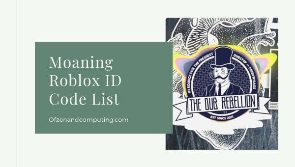 Moaning Roblox ID Code (2022)