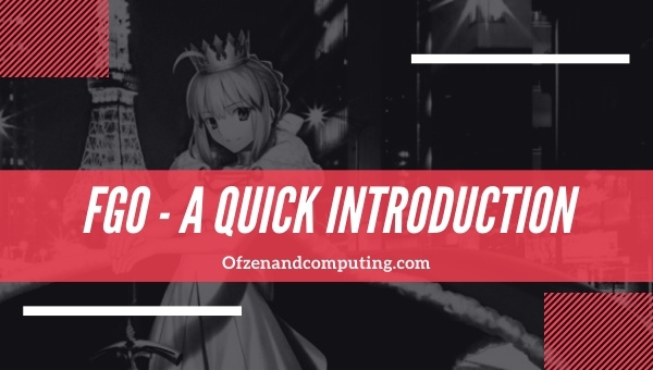 FGO - A Quick Introduction