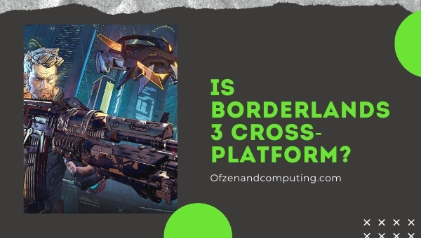 Is Borderlands 3 Cross-Platform in 2022?