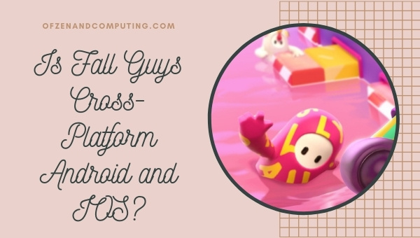 Is Fall Guys Cross-Platform Android and IOS?