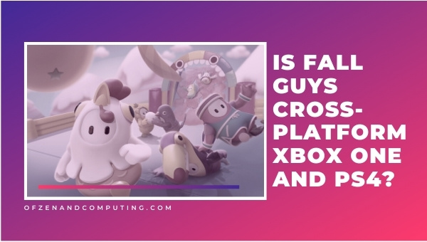 Is Fall Guys Cross-Platform Xbox One and PS4?