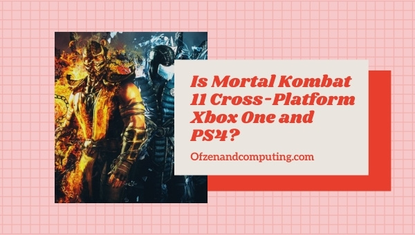 Is Mortal Kombat 11 Cross-Platform Xbox One and PS4?