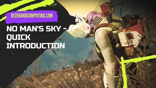 No Man's Sky - A Quick Introduction