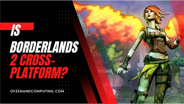 Is Borderlands 2 Cross-Platform in 2023?