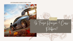 Is Forza Horizon 4 Cross-Platform in [cy]? [PC, PS5, Xbox]