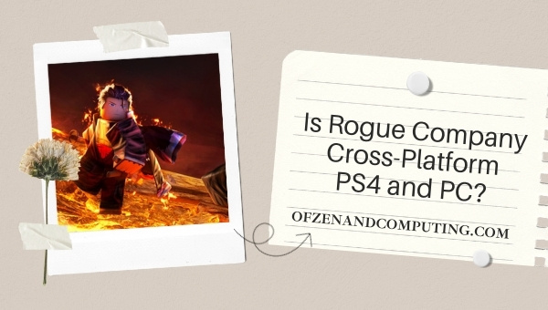 Is Rogue Company Cross-Platform PS4 and PC?
