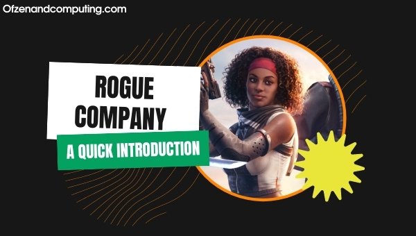 Rogue Company - A Quick Introduction