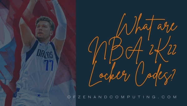 What are NBA 2K22 Locker Codes?