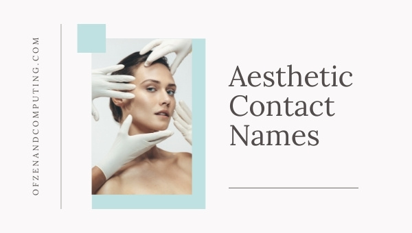 Aesthetic Contact Names (2025)