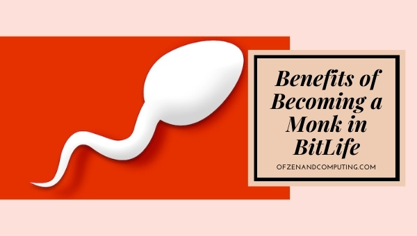 Benefits of Becoming a Monk in BitLife