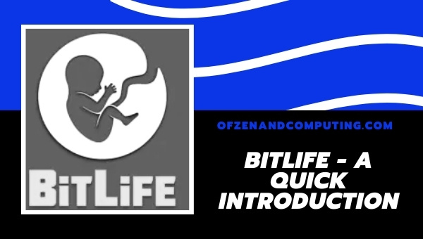 BitLife - A Quick Introduction