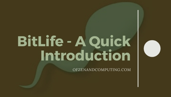 BitLife - A Quick Introduction