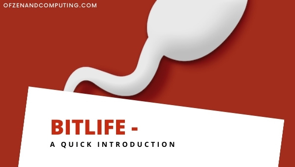 BitLife - A Quick Introduction