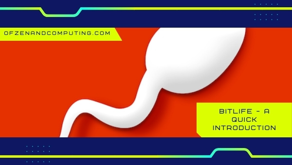 BitLife - A Quick Introduction