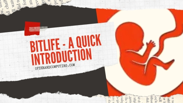 BitLife - A Quick Introduction