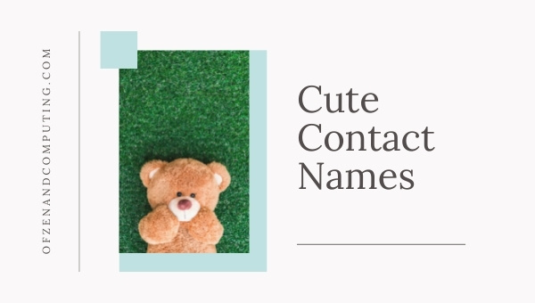 Cute Contact Names (2025)