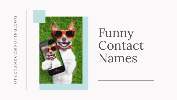 Funny Contact Names (2025)
