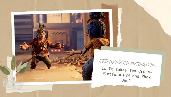 Is It Takes Two Cross-Platform PS4 and Xbox One?