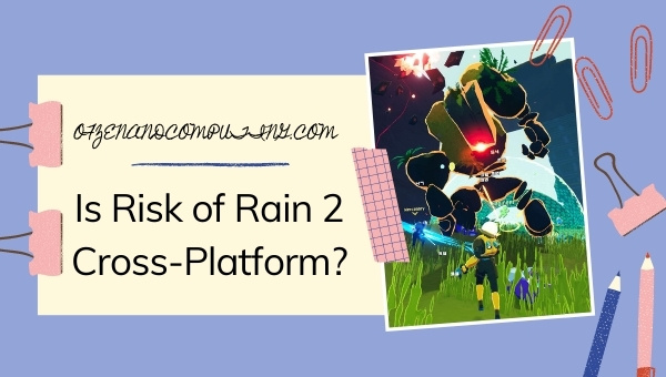 Is Risk of Rain 2 Cross-Platform in 2022?