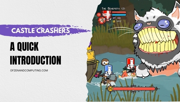 Castle Crashers - A Quick Introduction