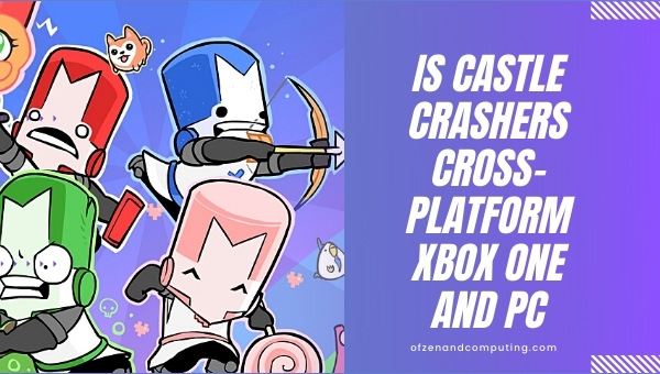 Is Castle Crashers Cross-Platform Xbox One and PC?