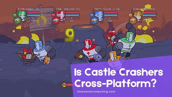 Is Castle Crashers Cross-Platform in 2023?