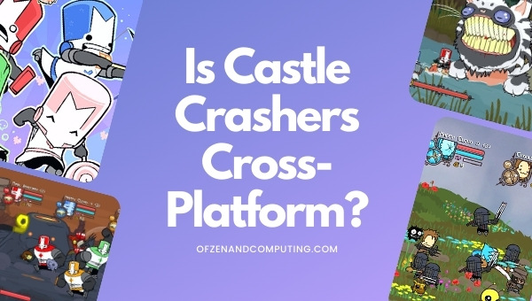 Is Castle Crashers Cross-Platform in 2023? [PC, PS4, Xbox]