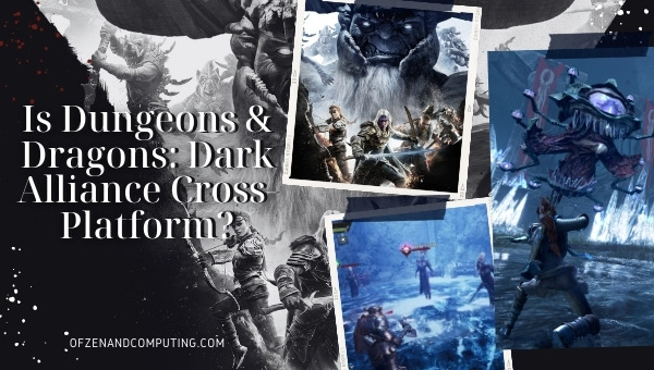 Is D&D: Dark Alliance Cross-Platform in [cy]? [PC, PS, Xbox]