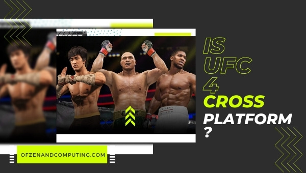 Is UFC 4 Cross-Platform in 2023?
