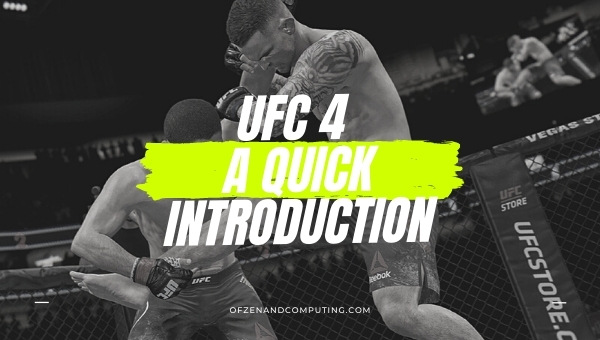 UFC 4 - A Quick Introduction