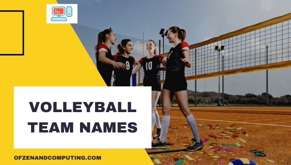 Volleyball Team Names Ideas (2022)