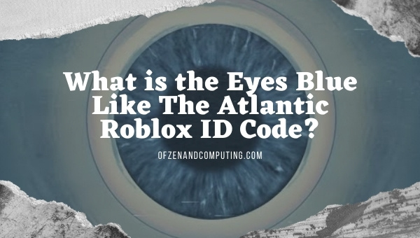 What is the Eyes Blue Like The Atlantic Roblox ID Code?