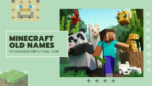Minecraft Old Names (2022)
