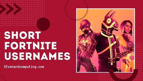 Short Fortnite Usernames 2022 (Names)